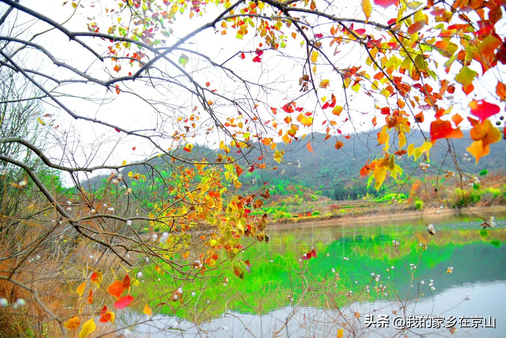 湖北省京山县石氏祖籍,湖北京山尹氏家族谱