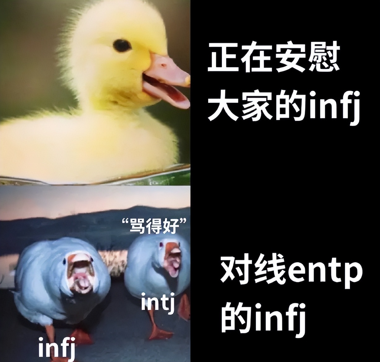 《组织行为学》1.2智力与能力【初级经济师-人力资源管理方向】