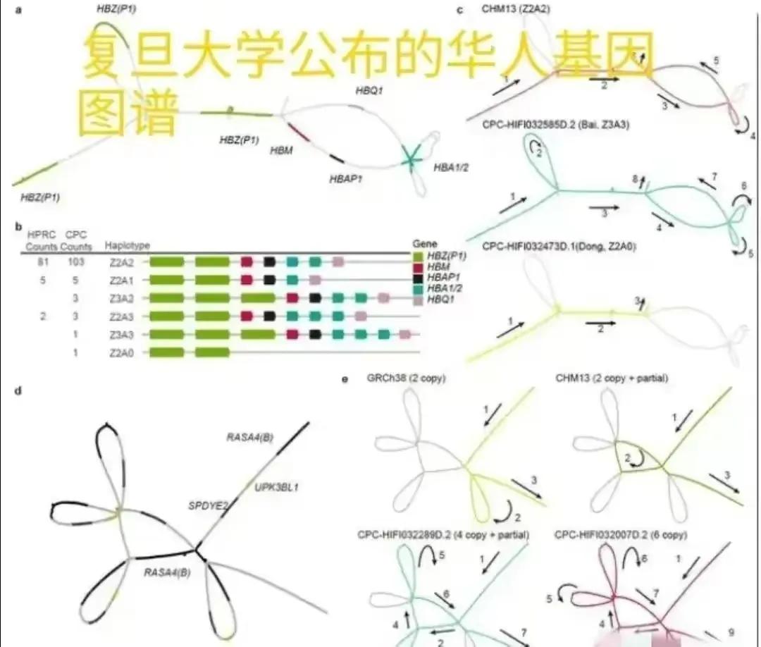 基于36个族群的中国人泛基因组参考图谱作为学术成果公开太草率了