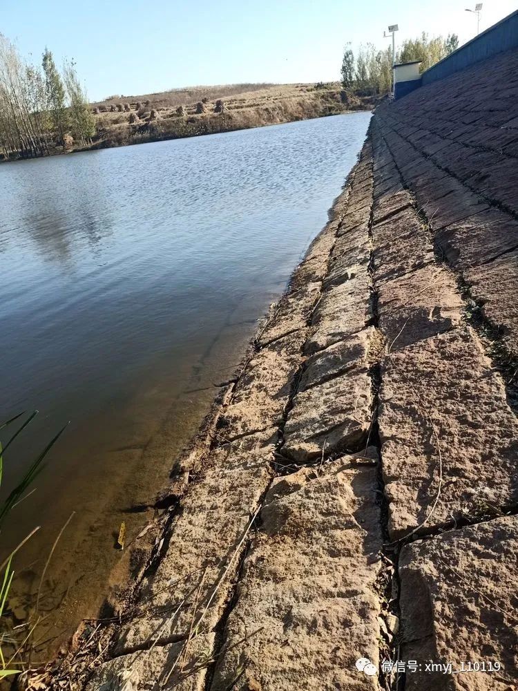 水库养鱼买苗,水库养鱼苗