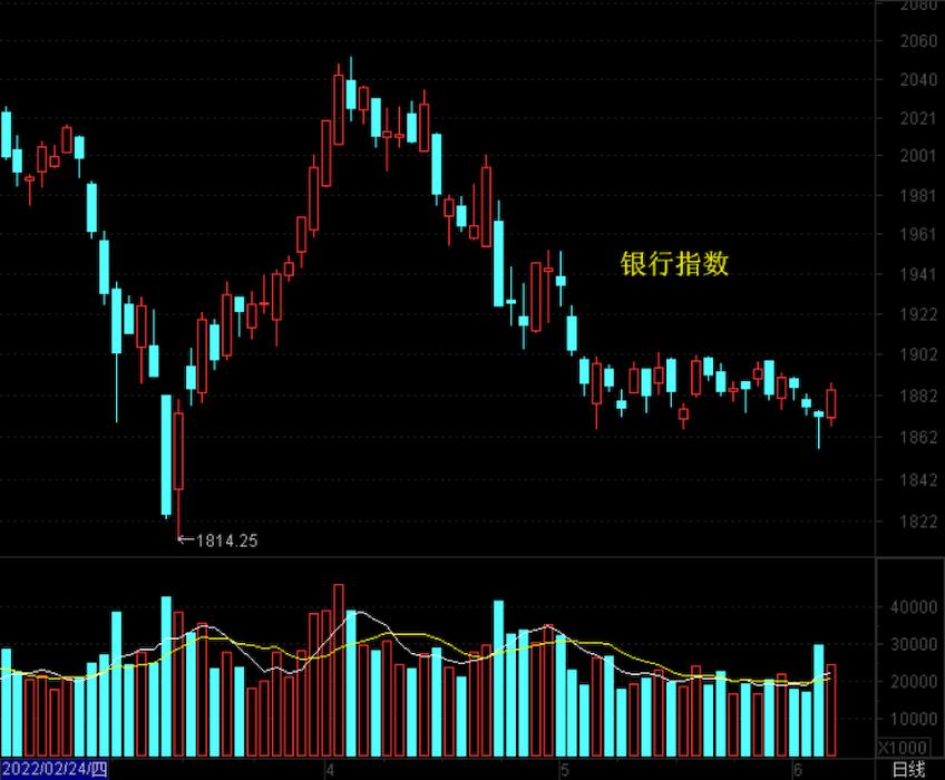 老马茶馆最新视频,老马茶室