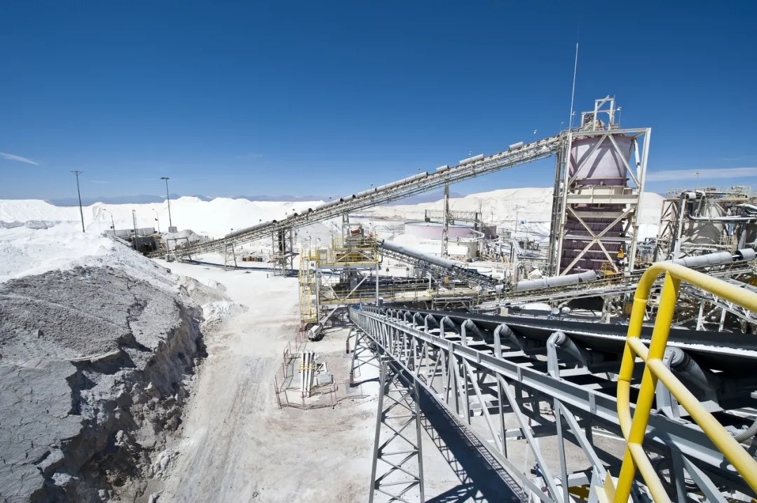 21万股民“炸锅”！一年涨10倍的大牛股被立案调查，一字跌停