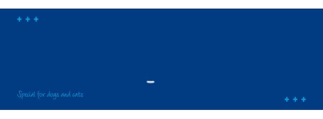 宠主三个月狗狗眼睛变白色？菲尔顿：再不治就要失明了