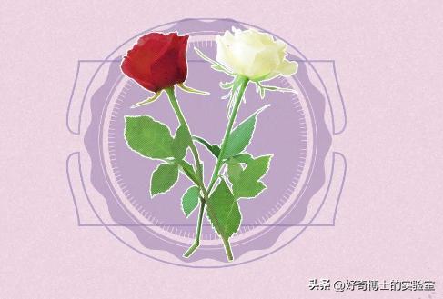 20多岁性冷淡的风格特征,20多岁性冷淡风是什么表现