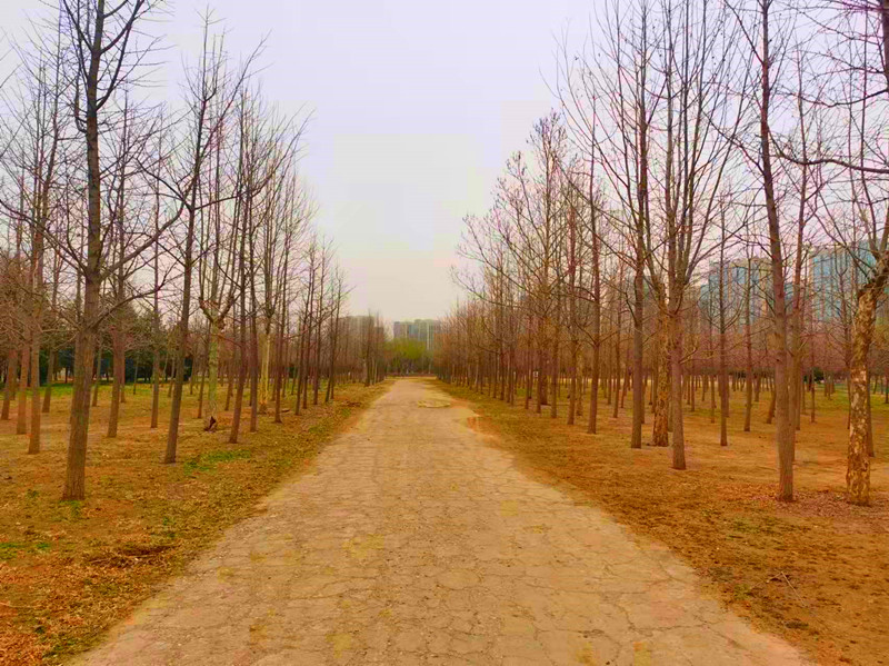 有地铁直达的公园,地铁可达的郊野公园