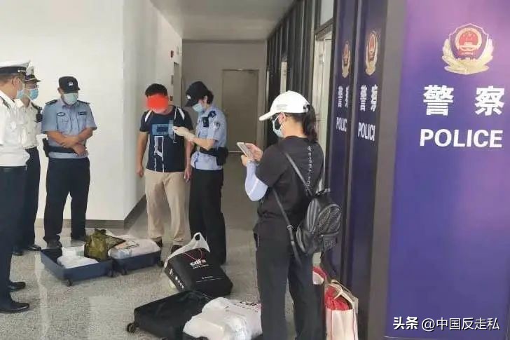 湛江海关缉私局走私最新新闻,湛江海关缉私事件