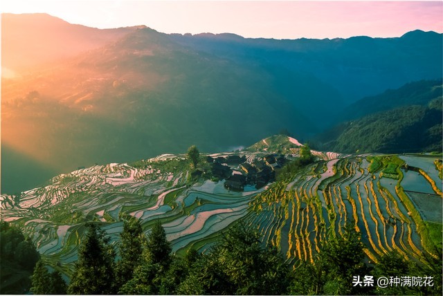 网络信息带来的利与弊,如何看待网络信息焦虑