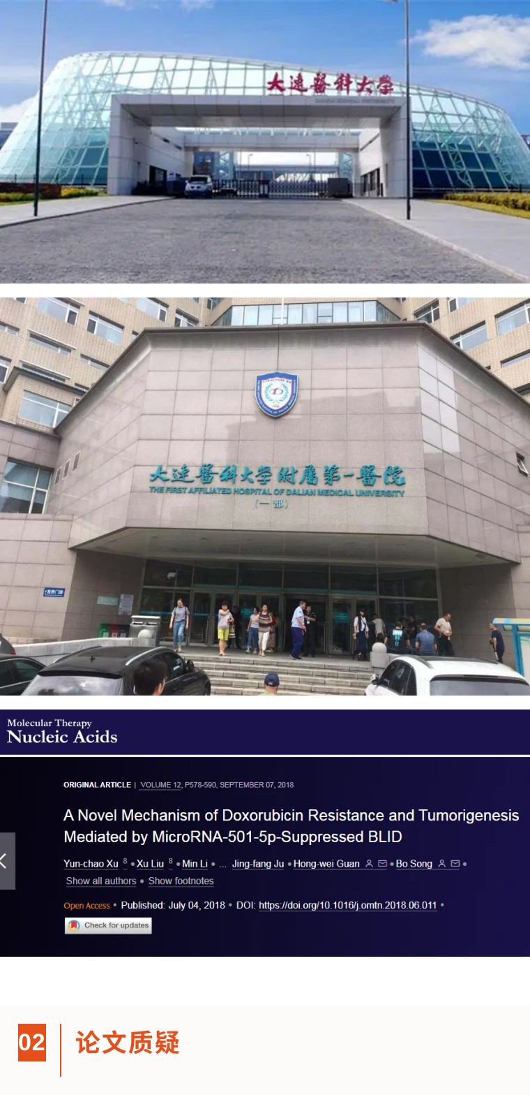 大连医科大学学术论文,大连医科大学附属第一医院论文