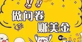 国外问卷调查都有哪些副业项目,国外问卷调查赚钱真实收入