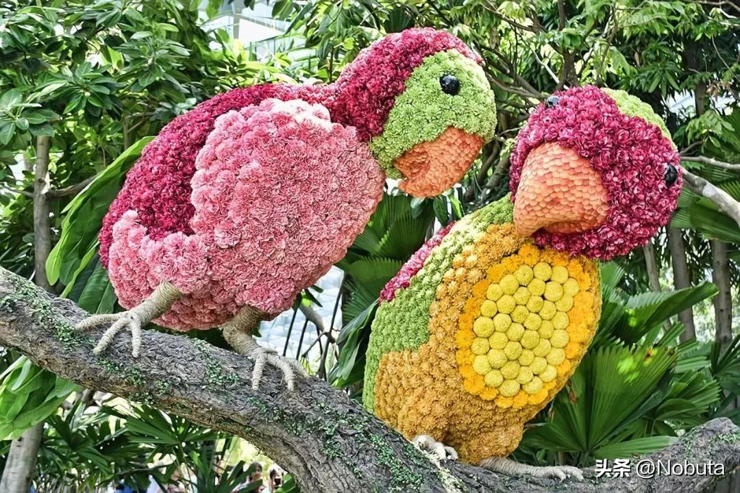 这样的飞机你敢坐吗,令人震撼的机场