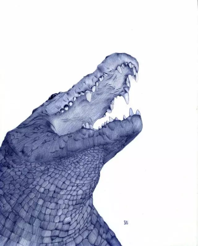 圆珠笔作画简单,2块钱圆珠笔