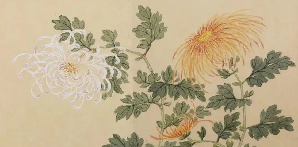 【云上文博】不是花中偏爱菊，此花开尽更无花