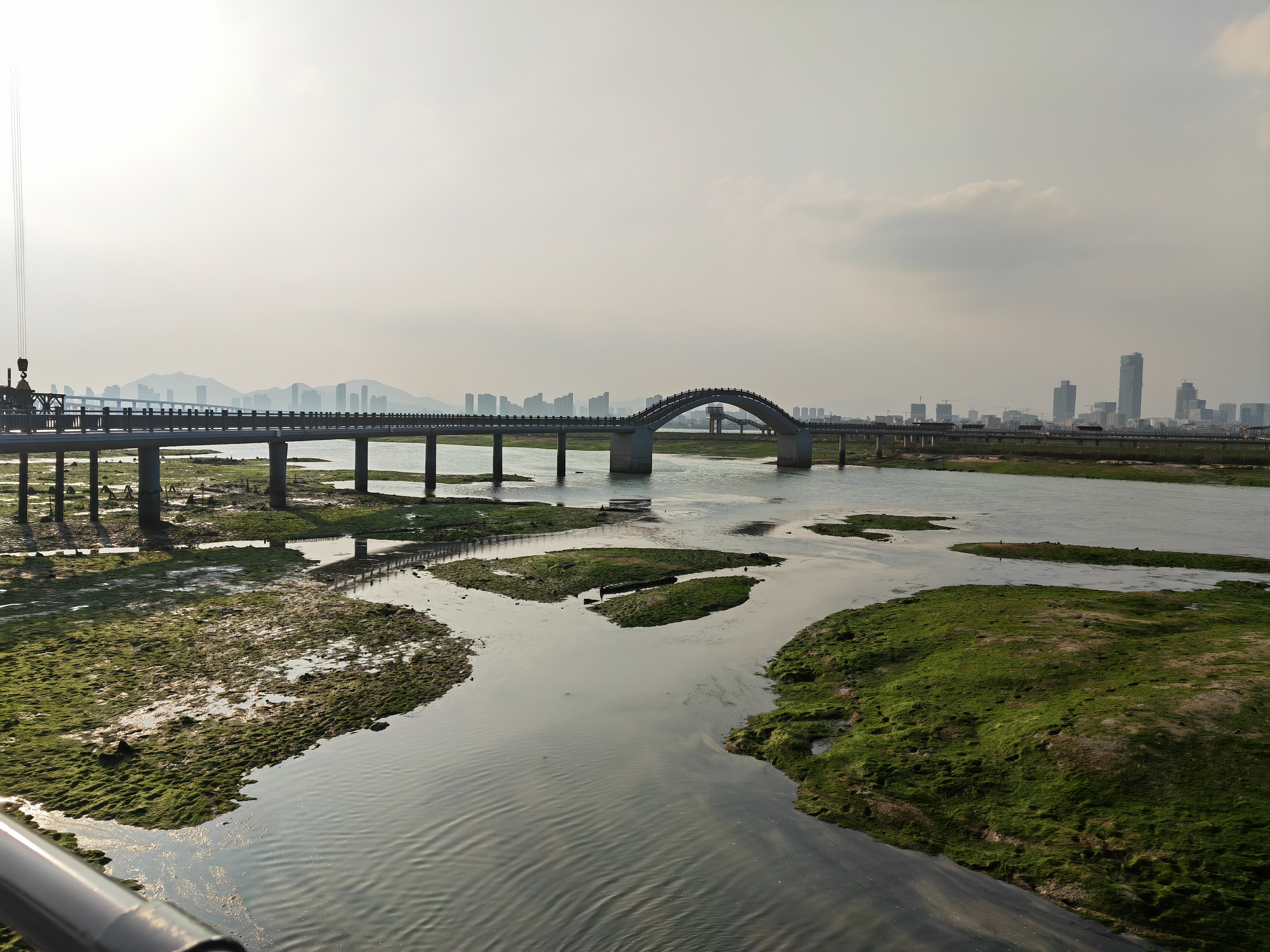 厦门下潭尾红树林湿地公园木栈道,厦门红树林湿地公园游玩攻略