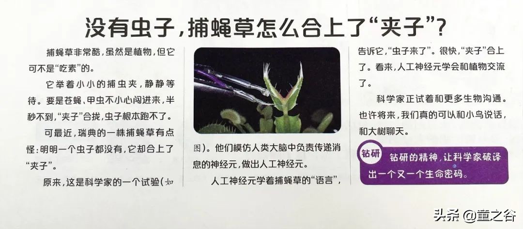 国内第一份新闻故事报,小学生也能轻松读懂时事热点