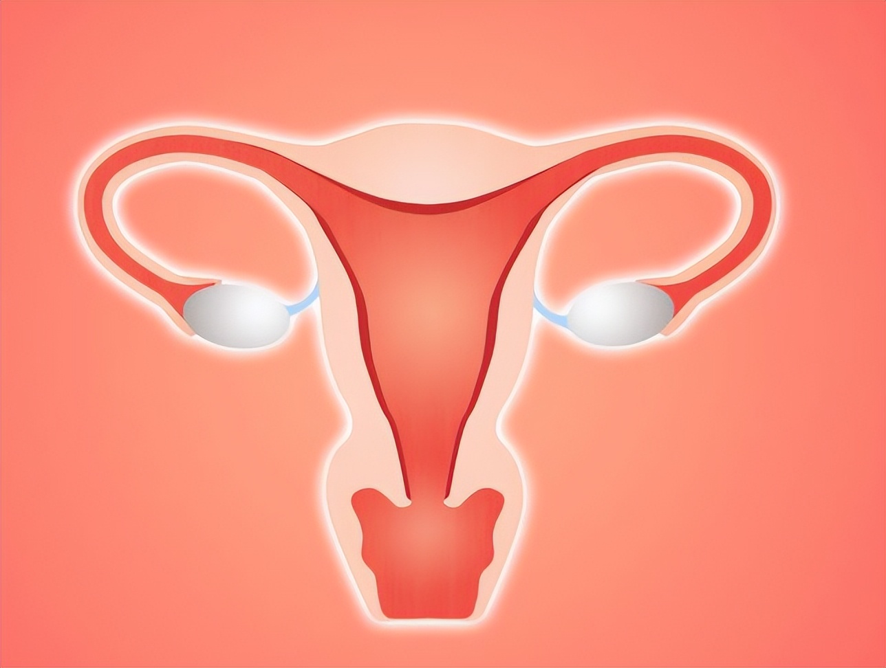 女子体检时，子宫内发现毛发及黏稠物，是怎么回事？