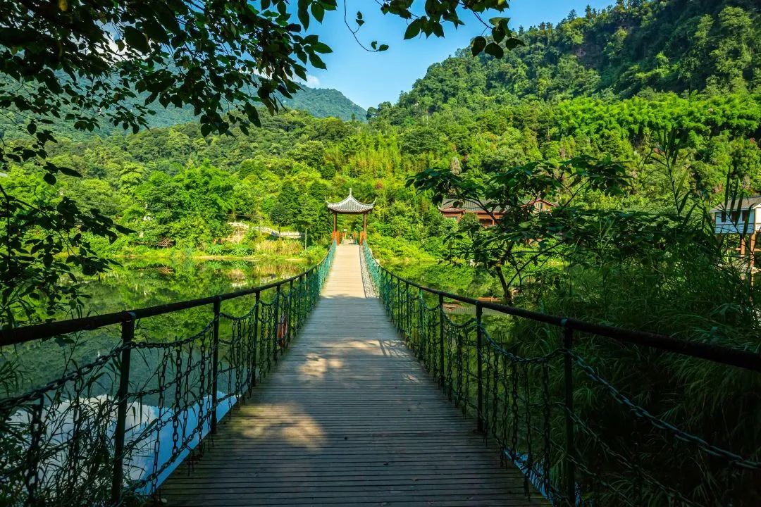 峨眉山毕业旅行主题,大学生独游峨眉山