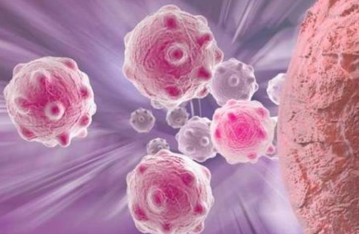 踮脚跟八百年的养生法,踮脚尖养生功法