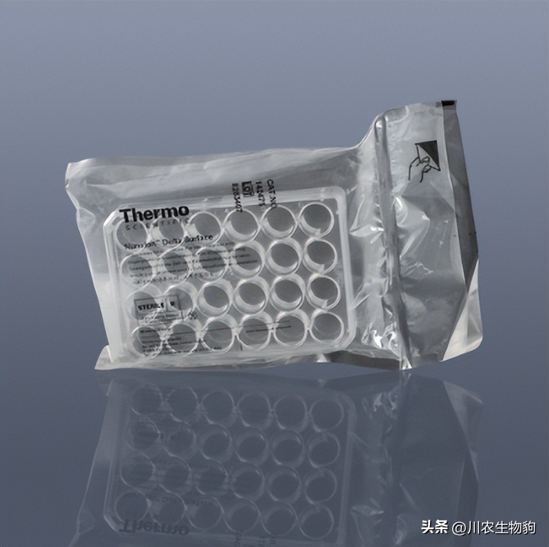 细胞培养基三大进口品牌,细胞培养耗材十大品牌