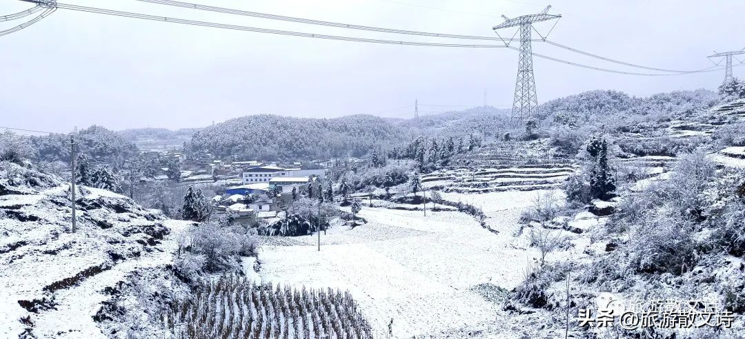 【根在芮城•春节特辑】春晓||为娘送行正月里的追思会