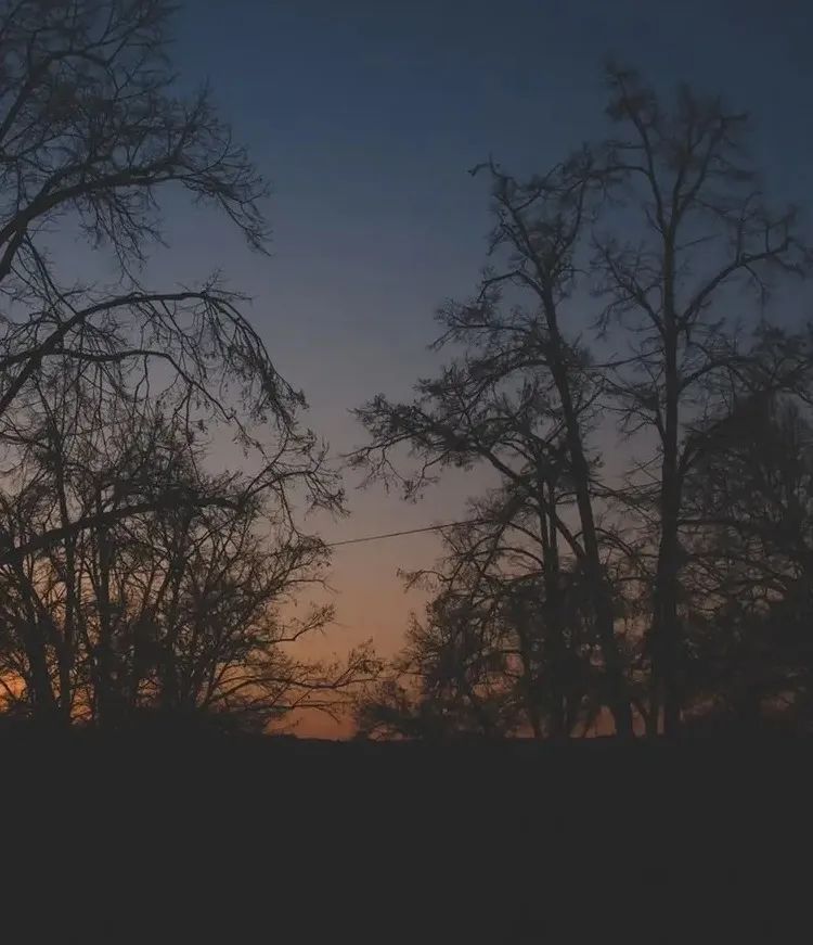 韩大胆原名,韩大胆是什么地方的