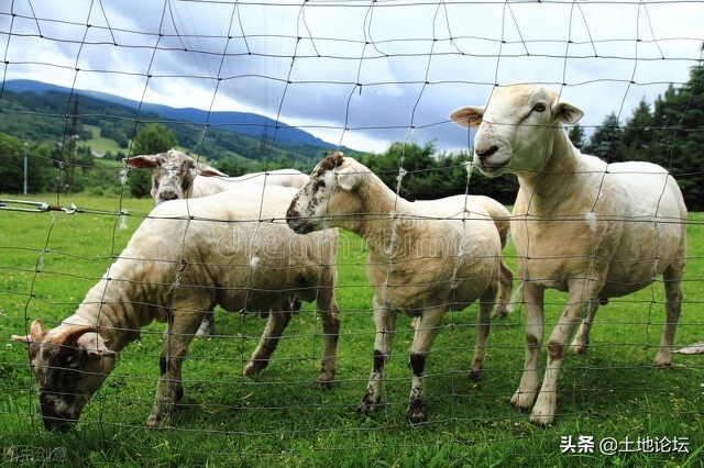 家庭农场注册资金和贷款有关系吗,家庭农场有没有必要注册商标