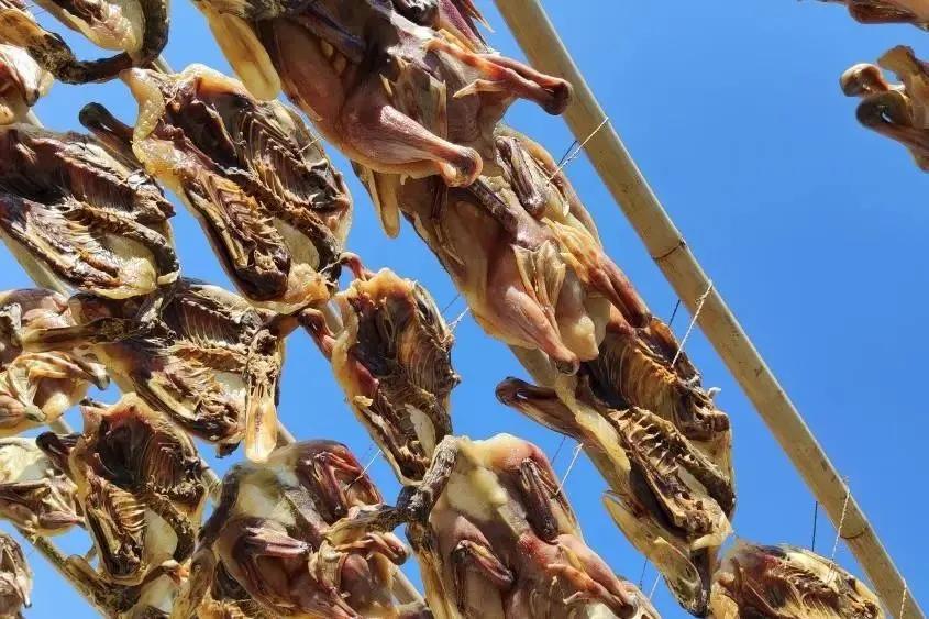 腊鸭腌制大全,自家腌制的腊鸭