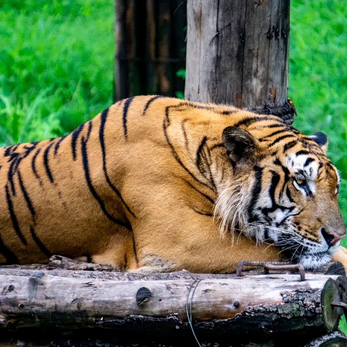 济南旅游公交专线有哪些 (济南近郊公交直达的游玩场所)