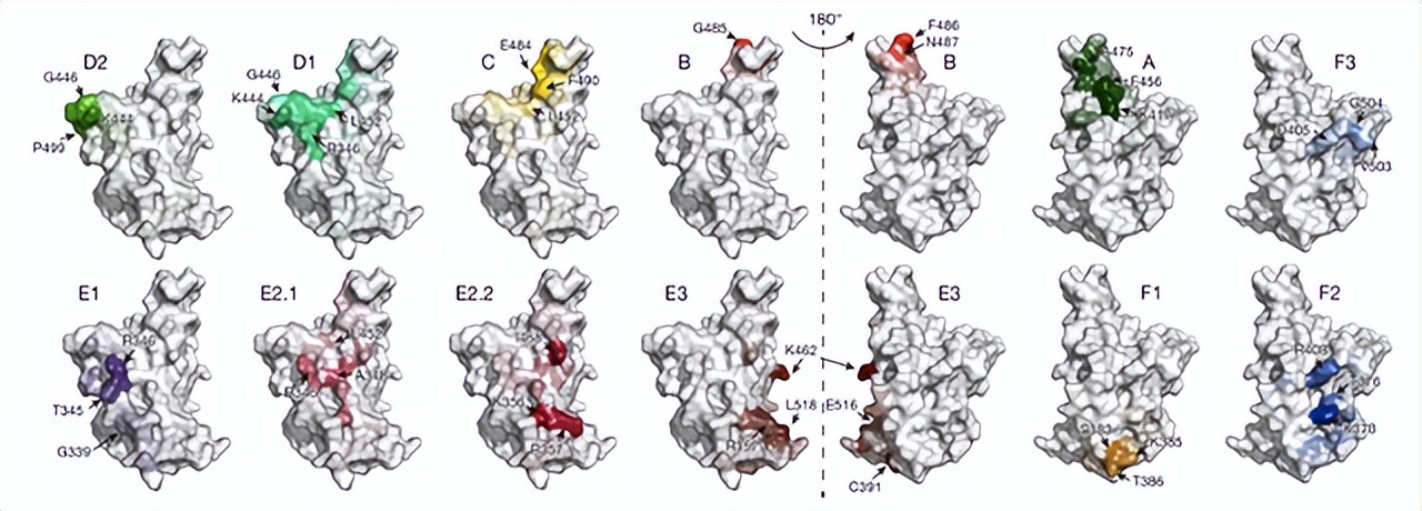 自然科学领域的中国人物,自然科学年度人物