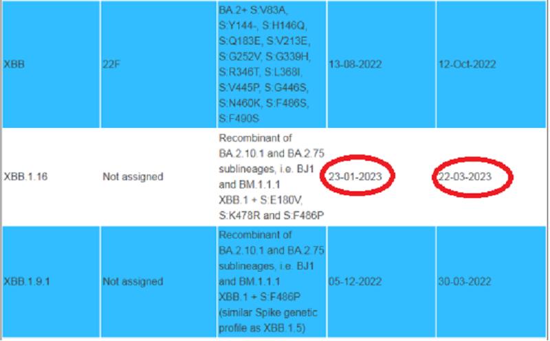 新冠病毒xbb1.5感染后症状,新冠病毒xbb1.16能检测吗