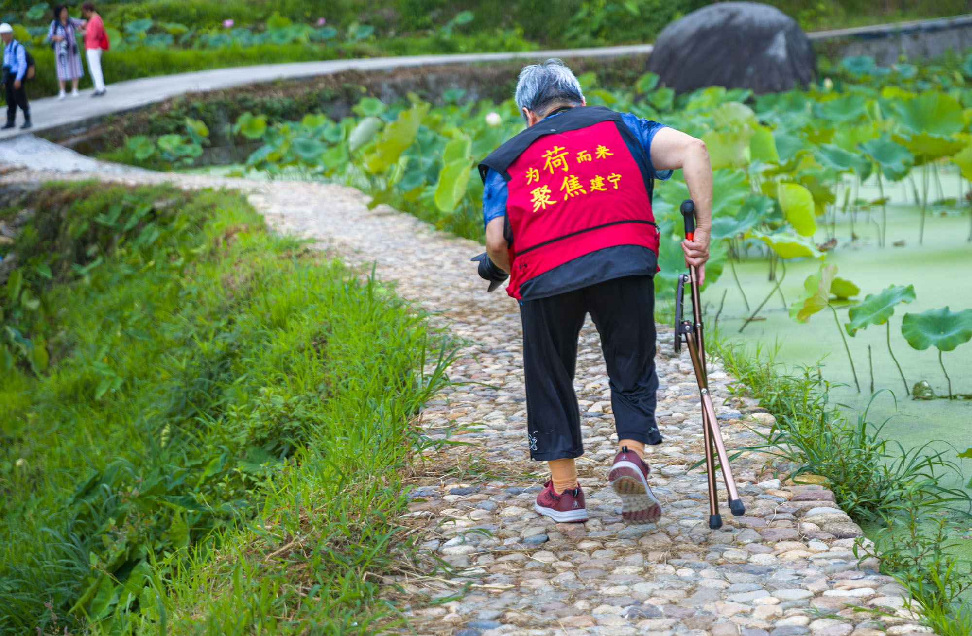 “同话沪明情、四季游三明”来自上海一位老摄影家的感人瞬间