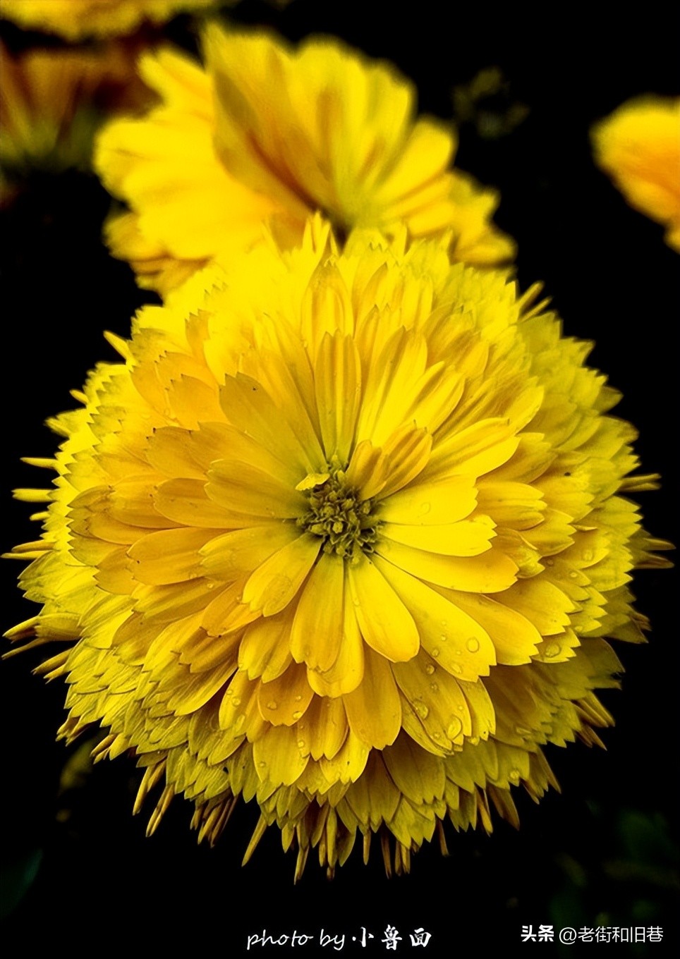 玩转云南自由行,昆明大理丽江6天5晚游多少钱