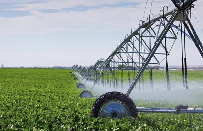 古代历史中的以色列,古代以色列鼎盛时期