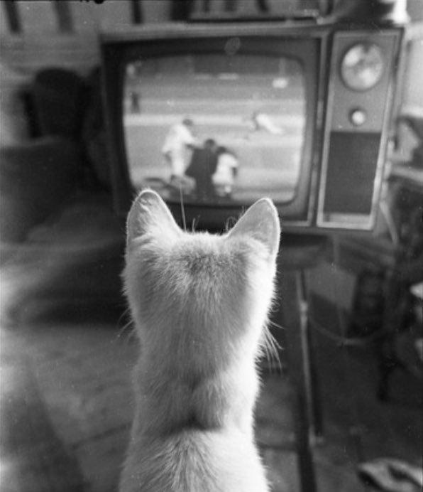 侵华战争女性被性侵惨案,日军在永州暴行