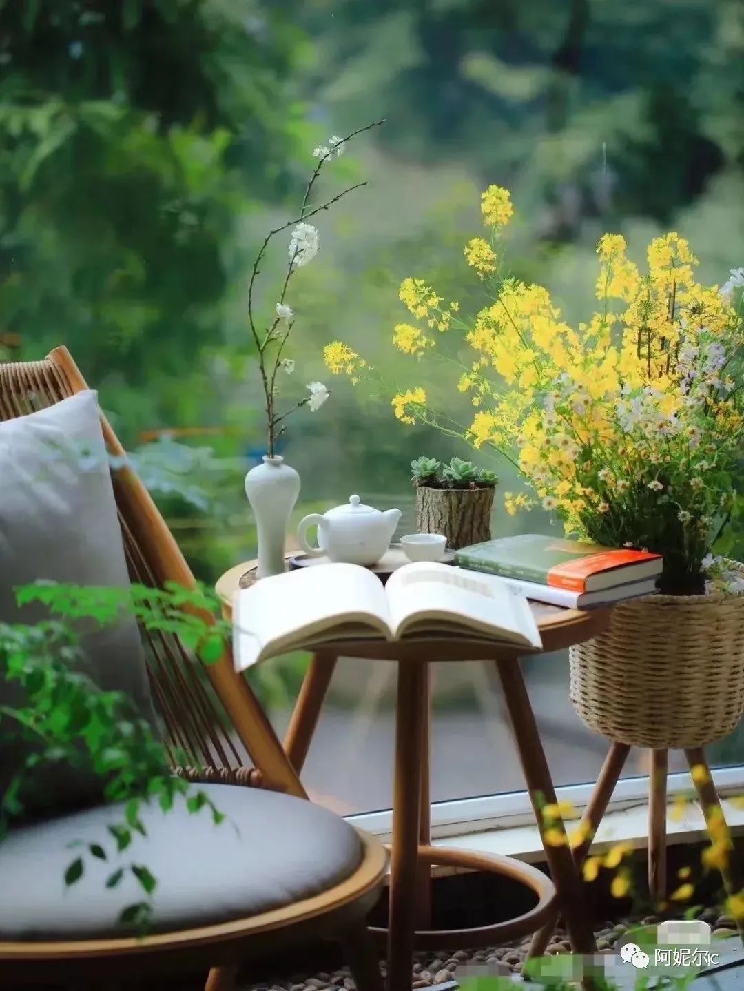 林深见鹿姜楠,林深见鹿电视剧免费观看