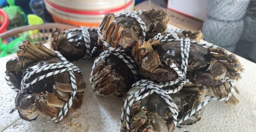 惊！宁波大宗商品价格暴跌40%！还有更大降幅即将来临！