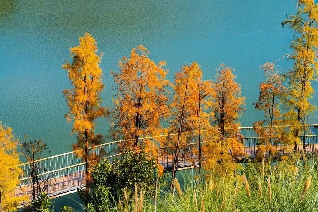 从化天人山水二日游,从化天人山水一日游攻略