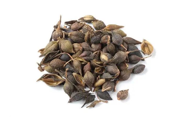 全国名中医刘启泉药方,中医治疗成人鹅口疮最佳治疗方法