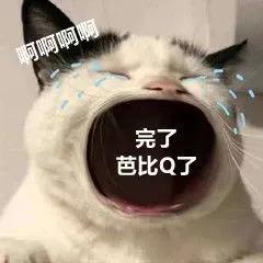 2021年度中国媒体十大流行语,咬文嚼字2021年度十大流行语