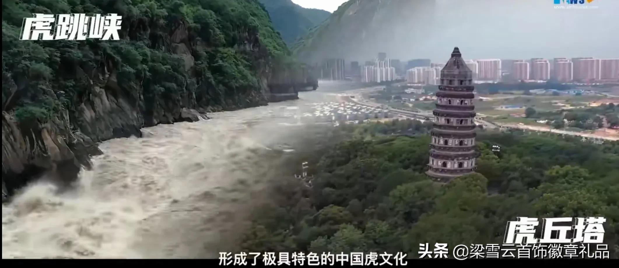 2022年壬寅虎是什么意思,2022壬寅虎年是什么虎