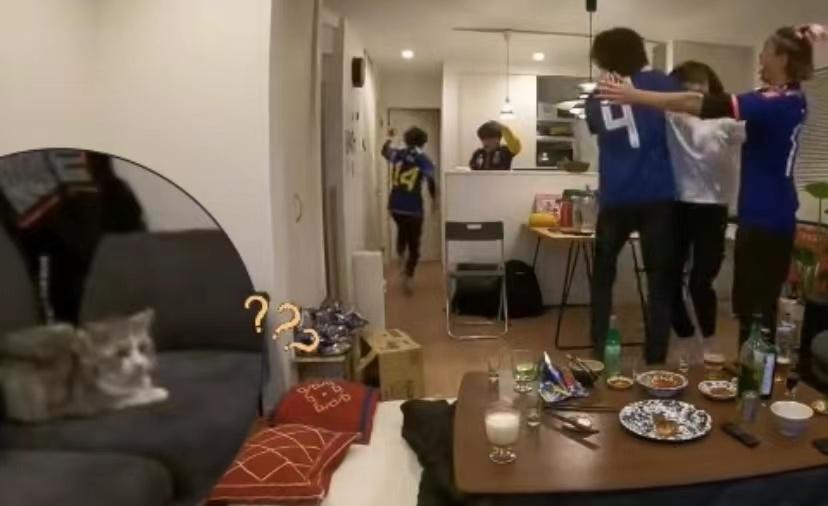 球迷庆祝时吓跑猫咪,日本球迷庆祝吓跑猫咪