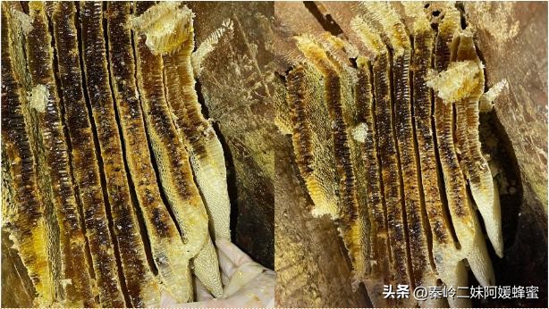 为什么超市的蜂蜜不能买,现在超市里蜂蜜那么便宜是真的吗