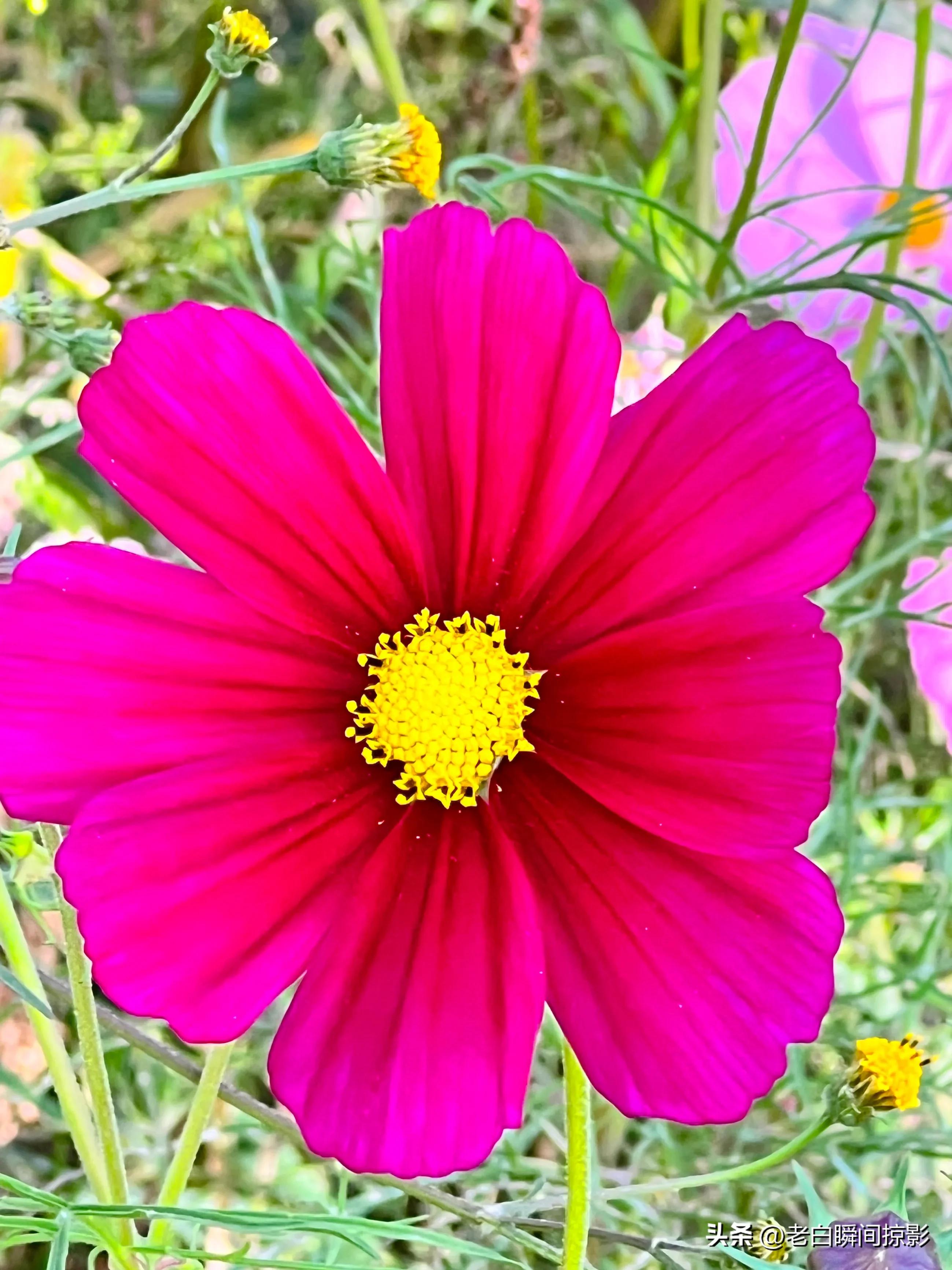 人不能闲着一闲就会多事,人不能闲着一闲就想太多