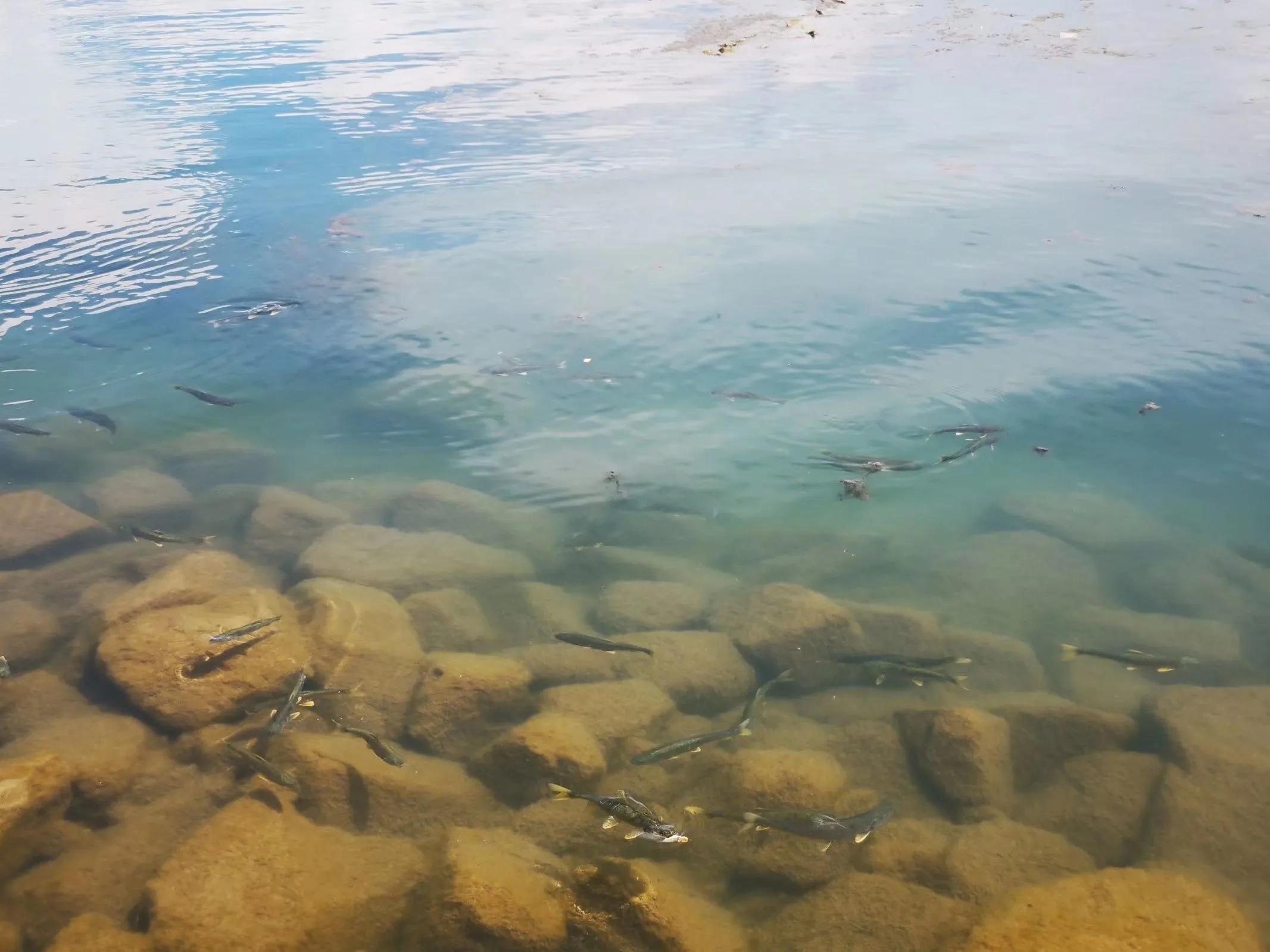 青海跟团游为什么不包餐,什么人不建议去青海旅游