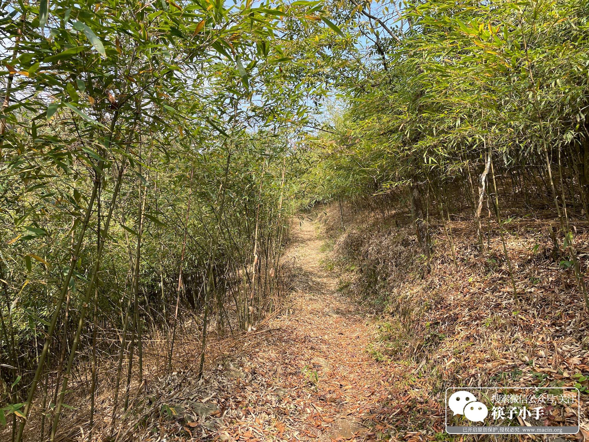 悬崖村步行道原来的样子,凉山悬崖村徒步