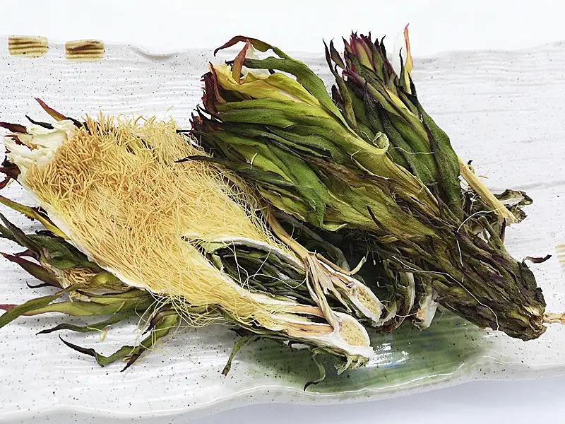 霸王花性味和功效,霸王花名字霸气