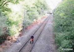 麻麻说了,谁要是娶了我,后面的苞米都是你的,哈哈哈