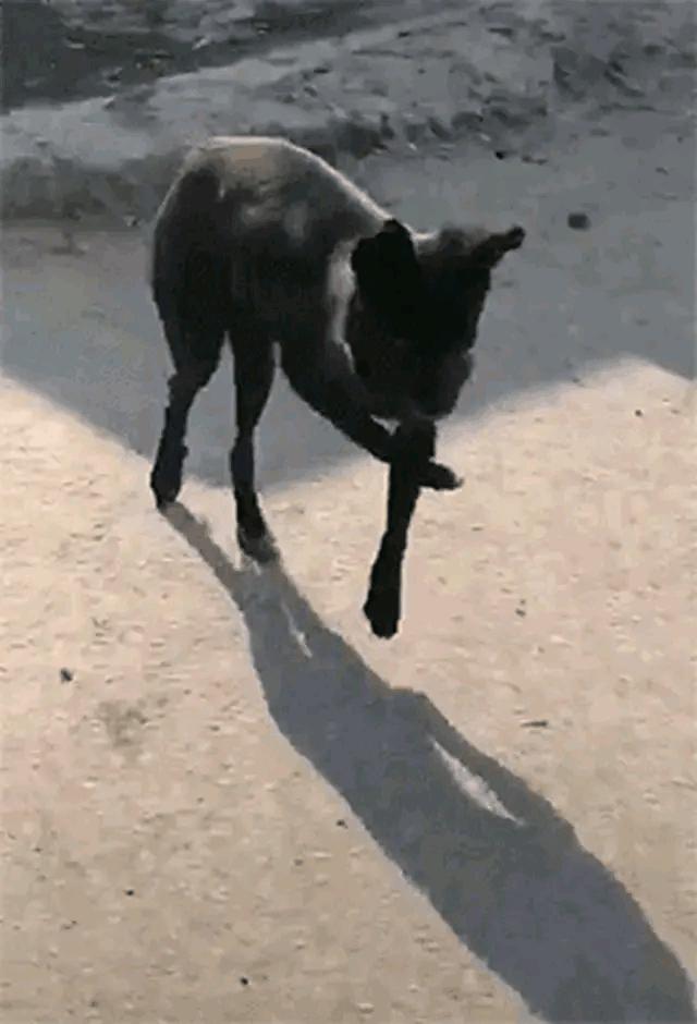 “老婆出差在宾馆给我发照片，桌子上那个是胶水吗？”哈哈哈哈