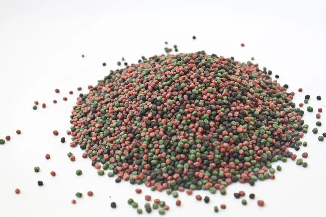 金鱼被撑死的真凶是什么,金鱼被养死了怎么处理