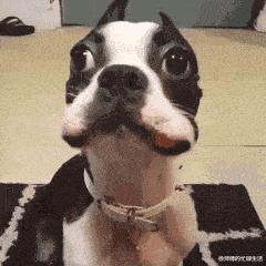 想要知道商品价格用什么扫,你想知道你是什么消费群体吗