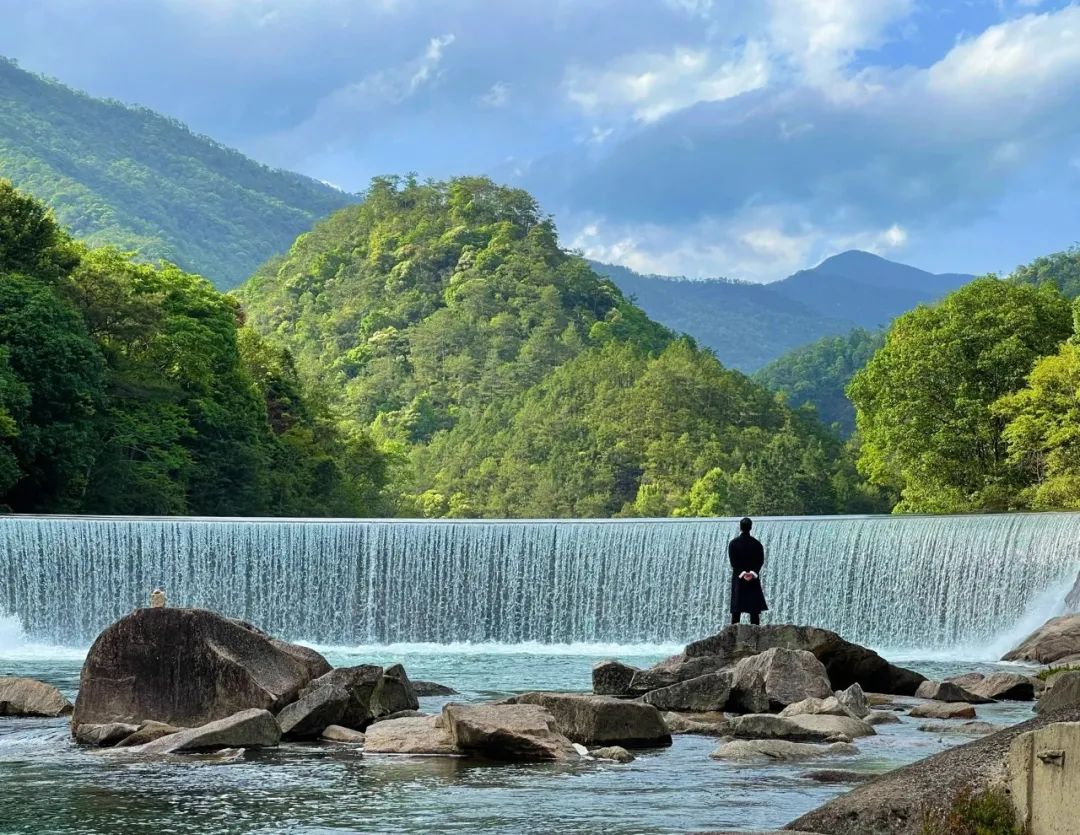 如何了解武夷山茶,探寻武夷